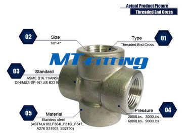 ASTM A182 F304L / 304H Stainless Steel High Pressure Threaded / Socket Welded End Cross Fitting