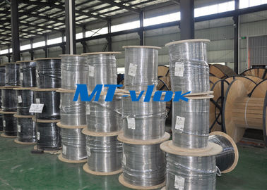 TP 304 / 304L 1.4301 / 1.4306 Welded Stainless Steel Coil Pipe Single - Core Coiled